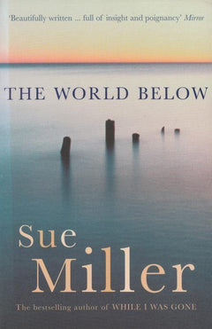 The World Below Sue Miller