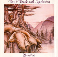 David Blonski with Synchestra - Shoreline