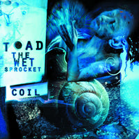 Toad The Wet Sprocket - Coil