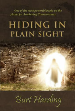 Hiding in Plain Sight - Burt Harding