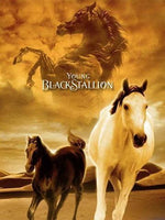 Young Blackstallion (DVD)