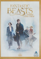 Fantastic Beasts And Where To Find Them (DVD)
