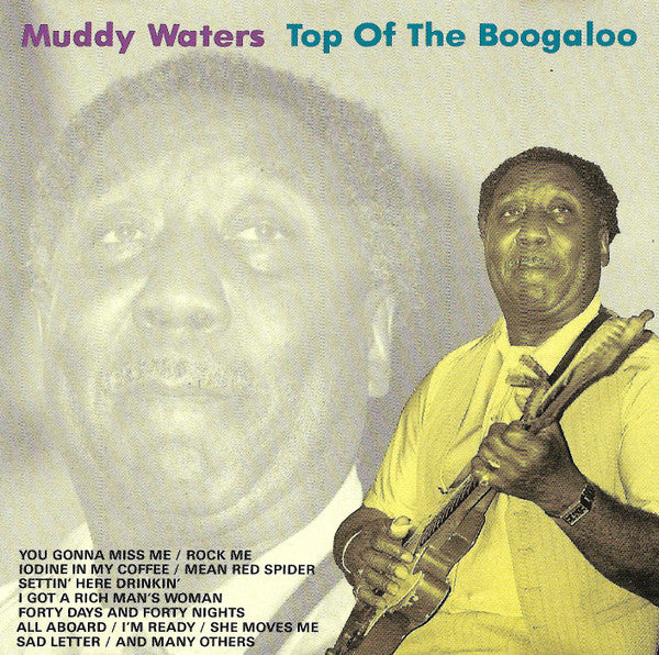 Muddy Waters - Top of the Boogaloo
