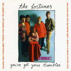The Fortunes - You've Got Your Troubles