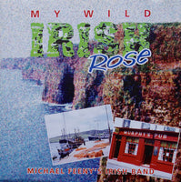 Michael Feeny's Irish Band - My Wild Irish Rose
