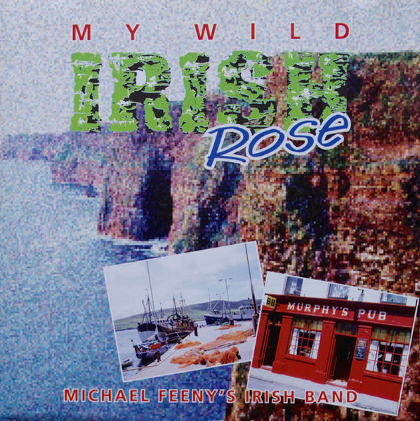 Michael Feeny's Irish Band - My Wild Irish Rose