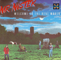 Mr. Mister - Welcome To The Real World