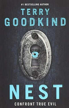 Nest - Terry Goodkind