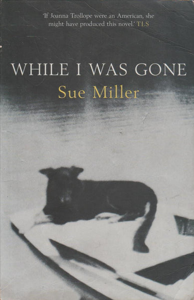 While I was Gone - Sue Miller