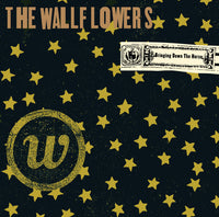 The Wallflowers - Bringing Down The Horse