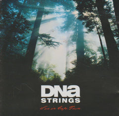 DNA Strings - Live in Cape Town