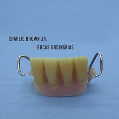 Charlie Brown Jr. - Bocas Ordinarias