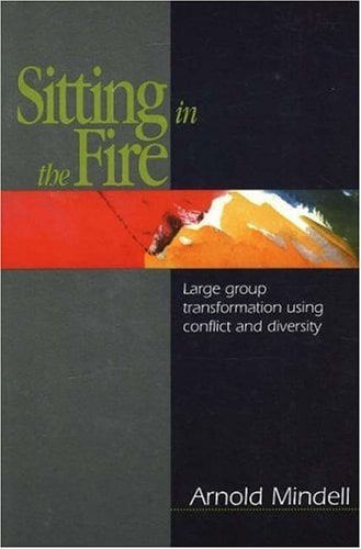 Sitting in the Fire: Large Group Transformation Using Conflict and Diversity - Arnold Mindell