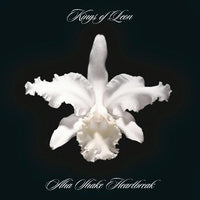 Kings Of Leon - Aha Shake Heartbreak