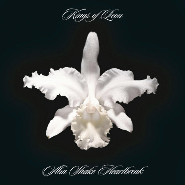 Kings Of Leon - Aha Shake Heartbreak