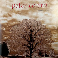 Peter Cetera - Another Perfect World
