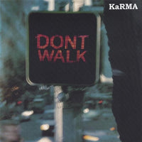 Karma-Ann Swanepoel - Don't Walk Fly