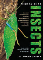 Field Guide to Insects of South Africa - Mike Picker & Alan Weaving & Charles Griffiths