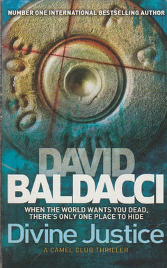 Divine Justice - David Baldacci