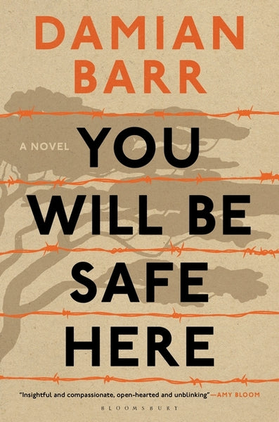 You Will Be Safe Here - Damian Barr