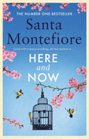 Here And Now - Santa Montefiore