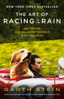 The Art of Racing in the Rain - Garth Stein