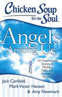 Chicken Soup for the Soul: Angels Among Us: 101 Inspirational Stories of Miracles, Faith, and Answered Prayers - Jack Canfield & M Hansen & A Newmark