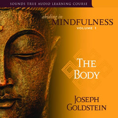Abiding in Mindfulness - Joseph Goldstein (Audiobook - CD)