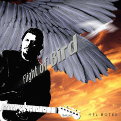Mel Botes - Flight of Bird