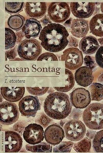 I, etcetera: Stories - Susan Sontag