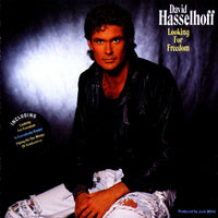 David Hasselhoff - Looking For Freedom