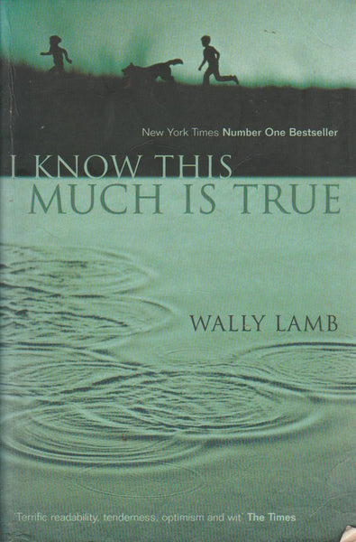 I Know This Much Is True Wally Lamb