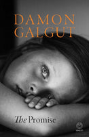 The Promise - Damon Galgut