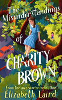 The Misunderstandings of Charity Brown - Elizabeth Laird