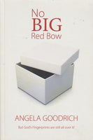 No Big Red Bow: But God's Fingerprints are still all over it! Angela Goodrich