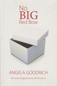No Big Red Bow: But God's Fingerprints are still all over it! Angela Goodrich