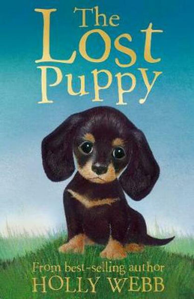 The Lost Puppy Holly Webb Sophy Williams