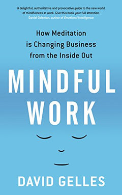 Mindful Work  David Gelles