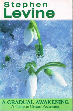 A gradual awakening a guide to greater awareness Stephen Levine