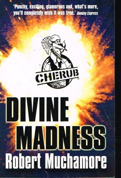 Divine madness Robert Muchamore
