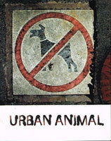 Urban animal various artists Absa gallery Johannesburg