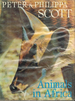 Animals in Africa Peter & Philippa Scott