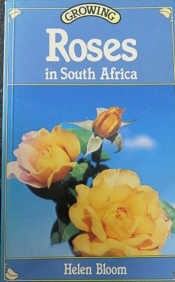 Growing Roses in South Africa Bloom, Helen