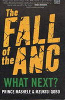 The fall of the ANC what next ? Prince Mashele & Mzukisi Qobo