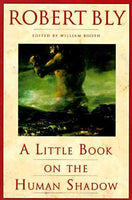 A Little Book on the Human Shadow Robert Bly