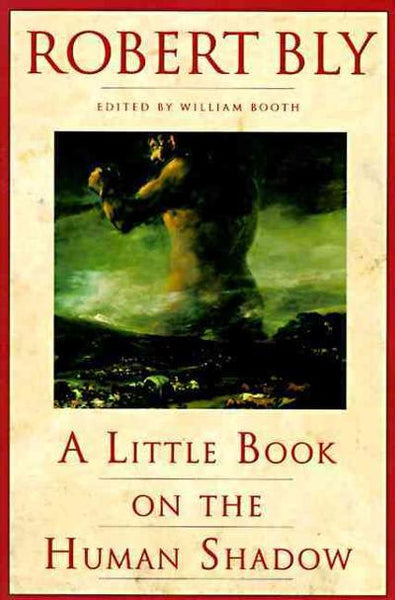 A Little Book on the Human Shadow Robert Bly
