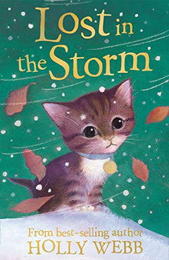 Lost in the Storm Holly Webb