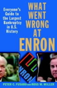 What Went Wrong at Enron: Everyone's Guide to the Largest Bankruptcy in U.S. History Peter C Fusaro