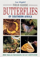 Butterflies of Southern Africa Ivor Migdoll