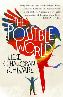 The Possible World Liese O'Halloran Schwarz